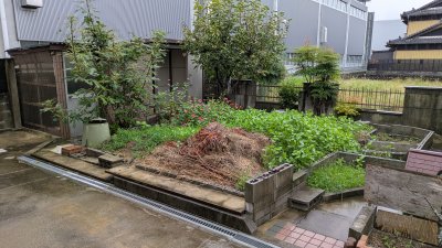 公園近くの築14年リノベーション住宅 - ギャラリー画像 2